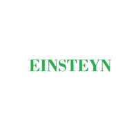 Einsteyn