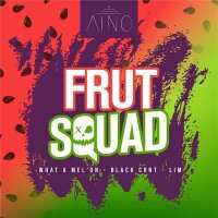 Aino Tobacco Frut Squad 20g