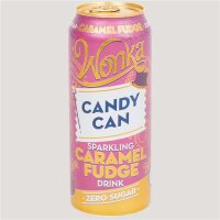 Wonka Caramel Fudge 500ml