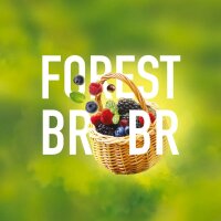 Must H Forest Brrs 25g